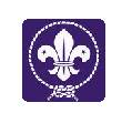 Scouts Logo